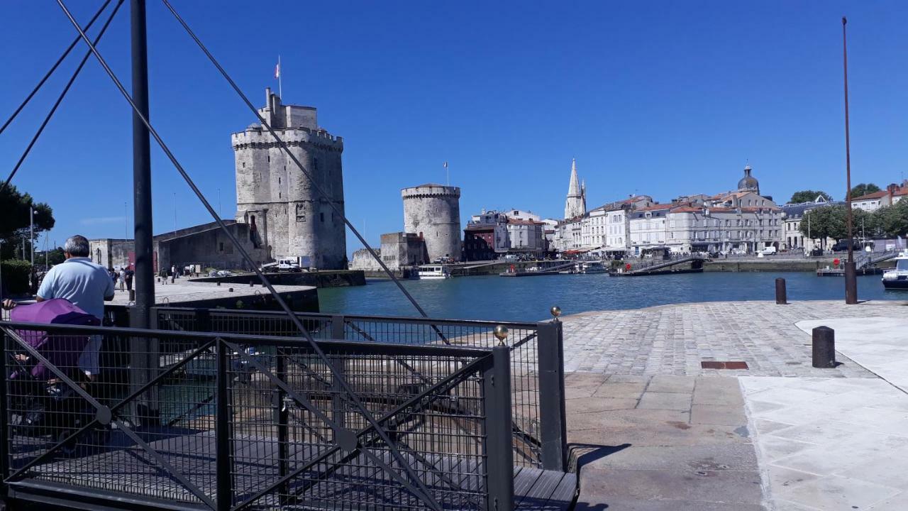 Lavande *